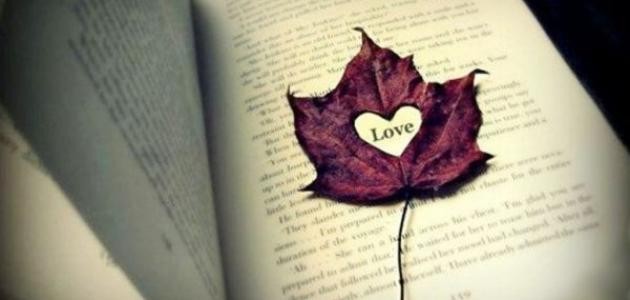 أجمل الحكم في الحب