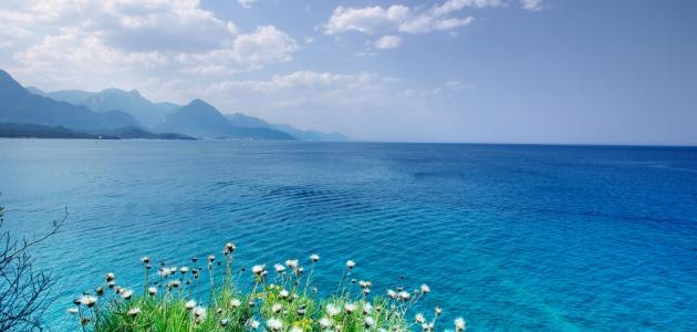 شعر عن الدنيا