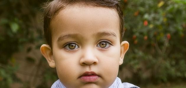 معنى اسم هشام