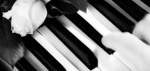 أجمل موسيقى هادئة