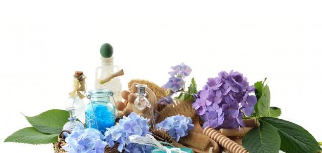 التخلص من رائحة المهبل التخلص من رائحة المهبل
