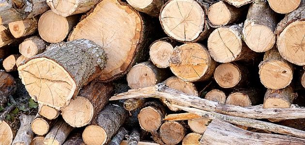 أنواع الخشب