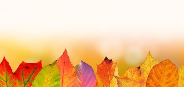 اجمل الأمثال