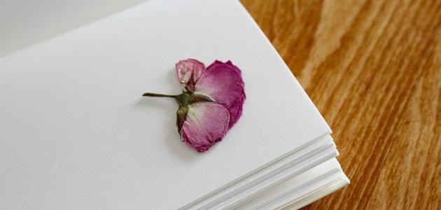 اجمل قصائد المتنبي