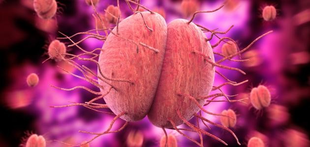 تشخيص مرض السيلان