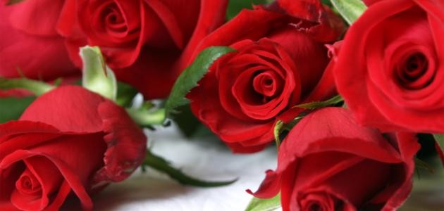 ابيات شعر رومانسية