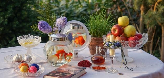 عبارات جميلة عن الحياة