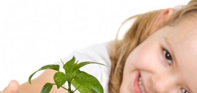 معنى اسم شوق