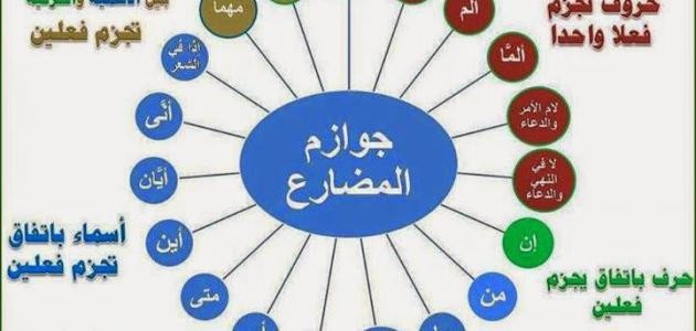 ما هي أدوات الجزم