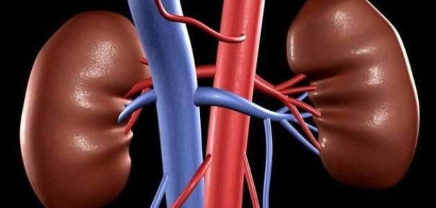 علاج الفشل الكلوي المزمن