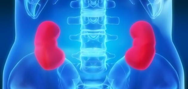 أسباب فشل الكلوي الحاد