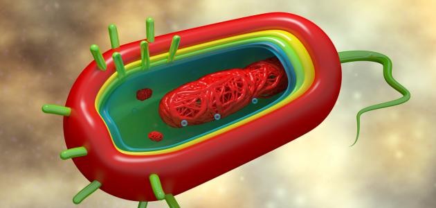 تشخيص مرض الكوليرا