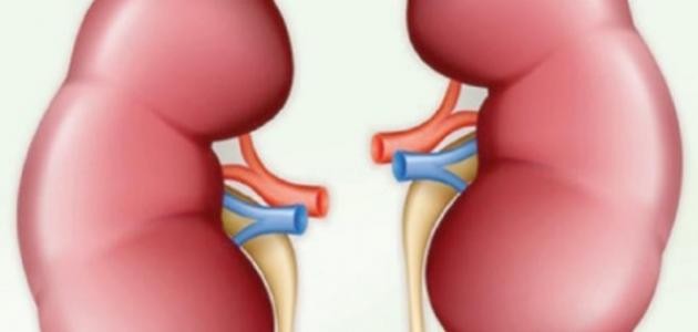 أسباب فشل الكلوي المزمن أسباب فشل الكلوي المزمن