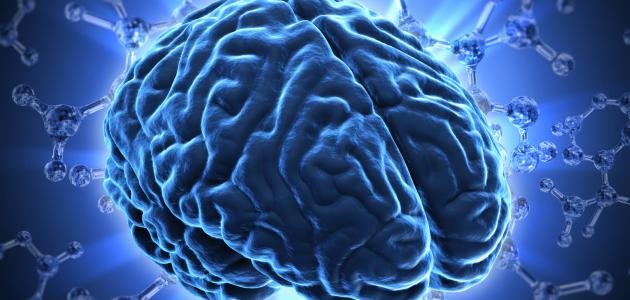 صحة الدماغ