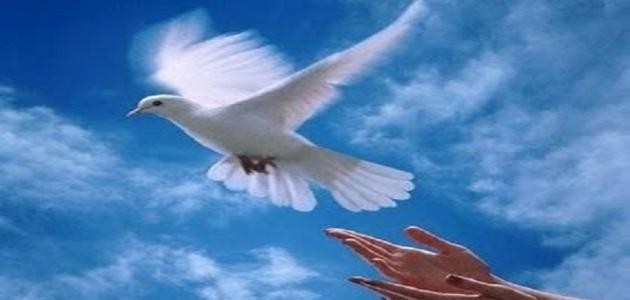 موضوع تعبير عن الحرية موضوع تعبير عن الحرية