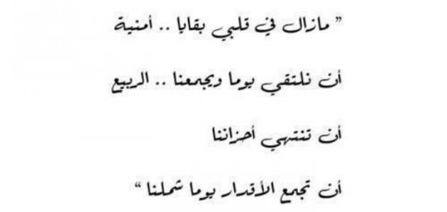 شعر فاروق جويدة شعر فاروق جويدة