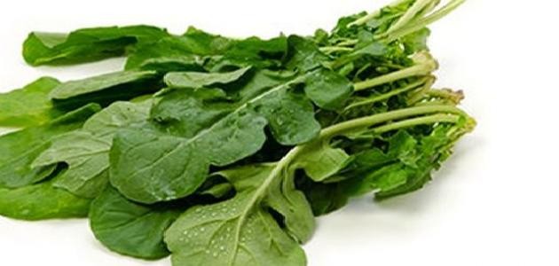 الجرجير لتكثيف الشعر