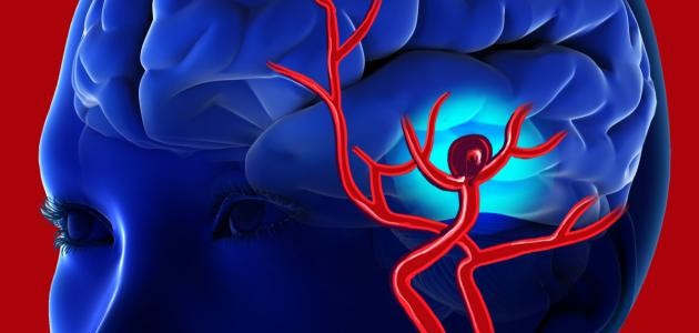 الجهاز الدوراني والزهري