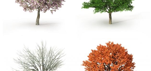 ترتيب الفصول الاربعة