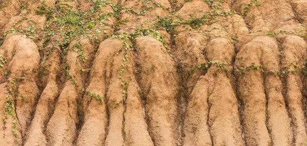 مظاهر تدهور التربة