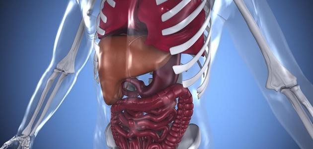 تشخيص مرض ويلسون