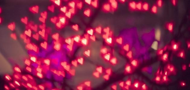 احبك حتى الموت