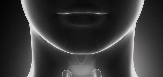 وظيفة هرمونات الغدة فوق كظرية