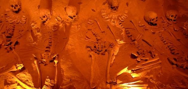 مراحل تطور الإنسان