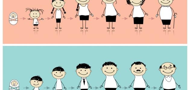 مراحل النمو عند بياجيه