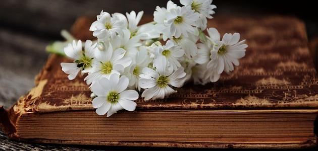 أجمل ما قال الشافعي