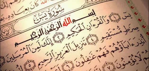 ما فائدة سورة ياسين