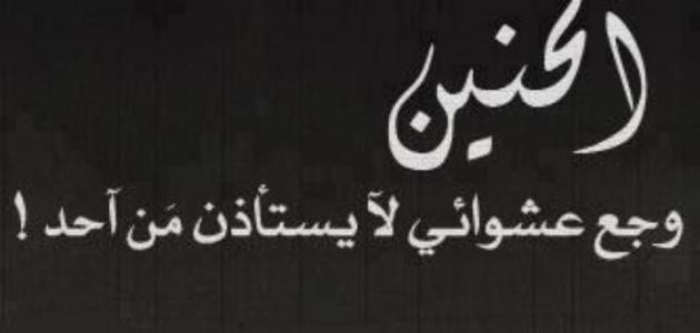 كلمات عن الشوق كلمات عن الشوق