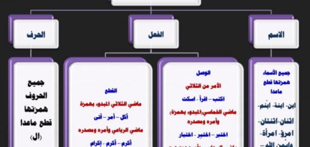 ما هي همزة الوصل وهمزة القطع