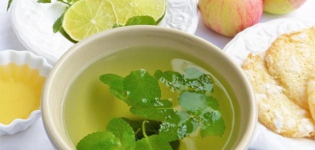 أعشاب لحرق دهون البطن