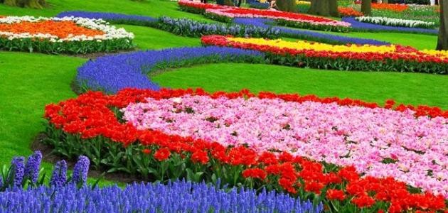 ما هو فصل الربيع