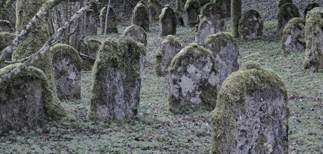 ما هو نعيم القبر وعذابه