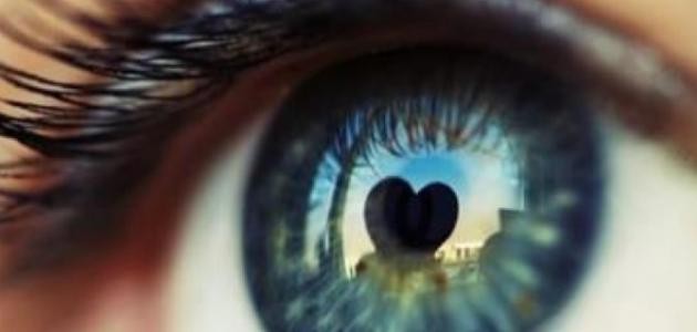 كيف تكون نظرات المحب