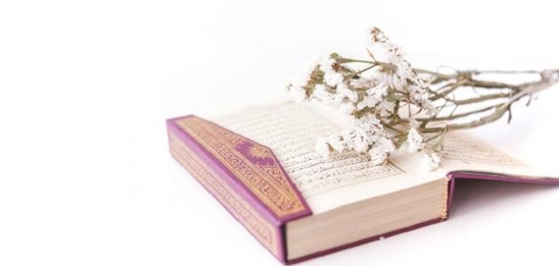 كلام عن الأخلاق