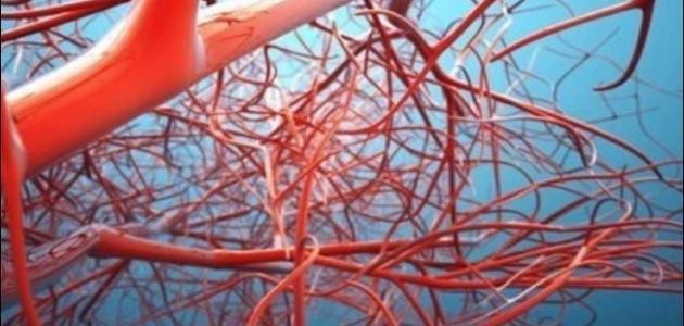 ما هي أعراض ضعف الأعصاب