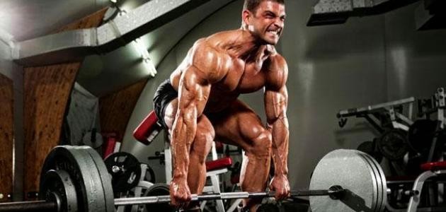 معلومات عن كمال الاجسام