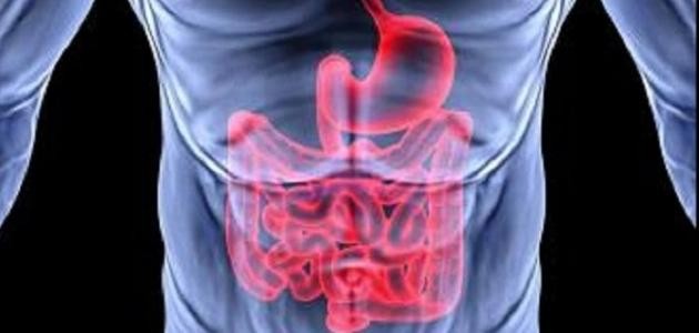 ما هي أعراض القولون