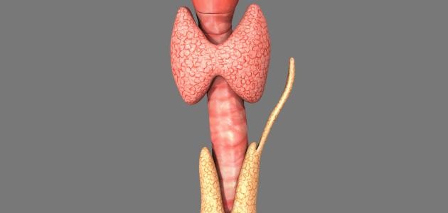 تضخم الغدة النخامية