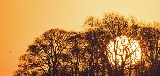 خواطر صباحية رومانسية