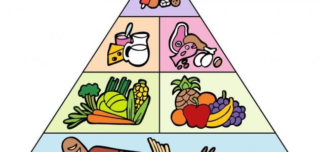 ما هو الهرم الغذائي