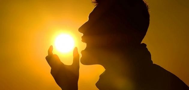 أين يوجد فيتامين د في الفواكه