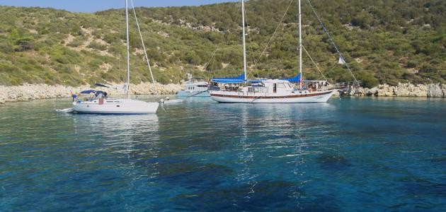 أكبر بحار في العالم