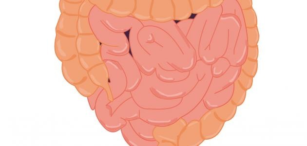 تطعيم الغدة النكافية