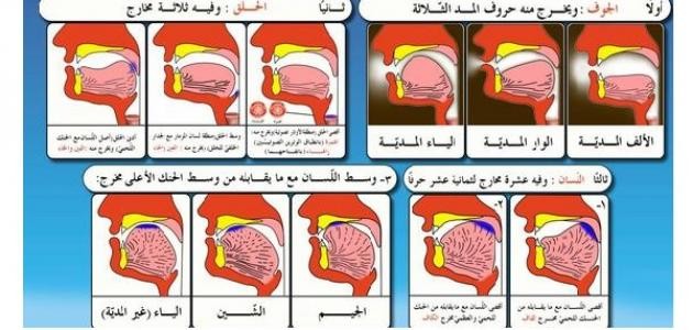 تجويد مخارج الحروف