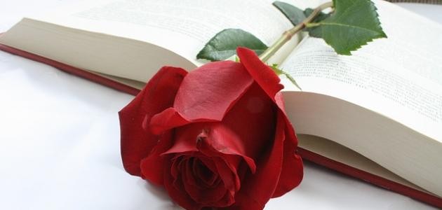 اجمل الشعر الغزلي