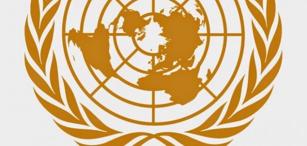 ما هي اتفاقية سيداو